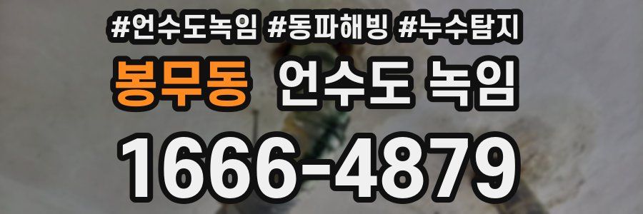 봉무동 언수도 녹임