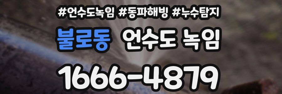 불로동 언수도 녹임