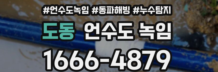도동 언수도 녹임