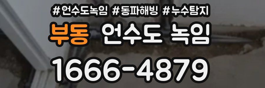 부동 언수도 녹임