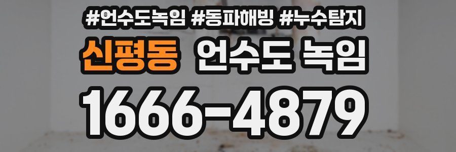 신평동 언수도 녹임