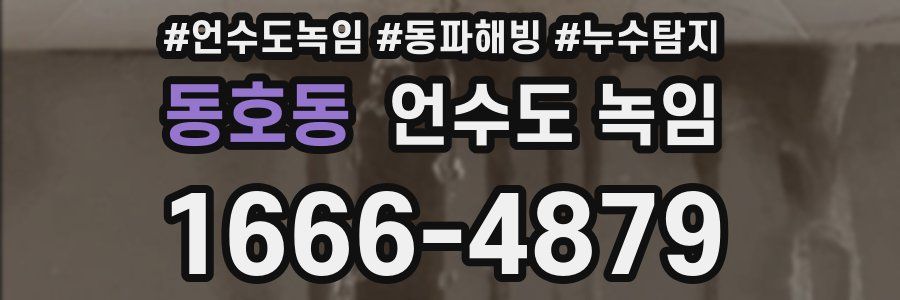 동호동 언수도 녹임