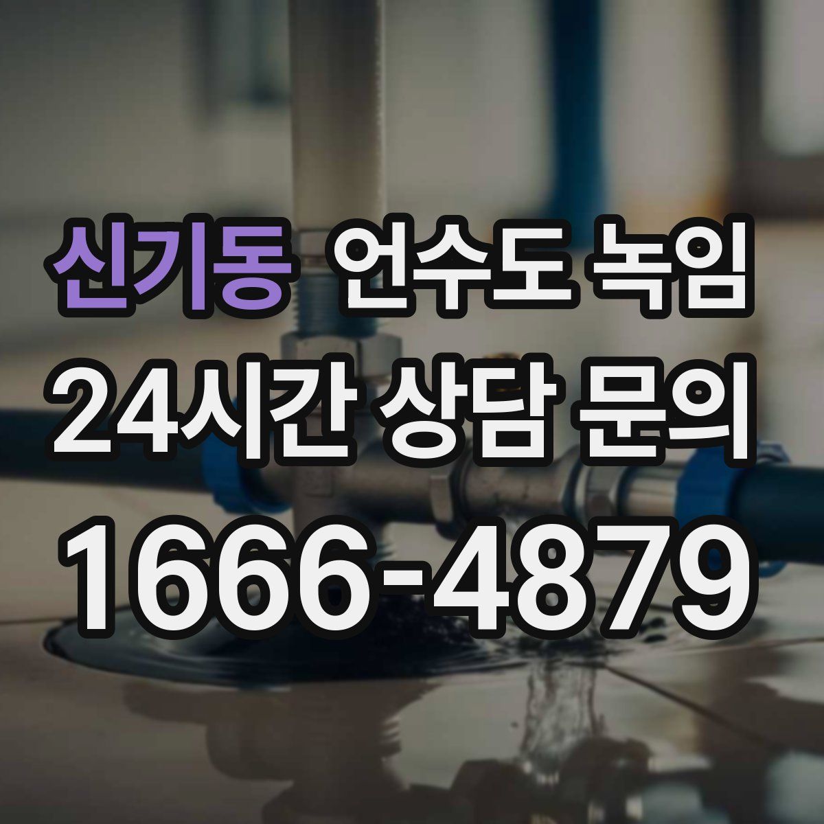 신기동 언수도 녹임