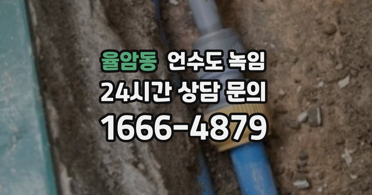 율암동 언수도 녹임