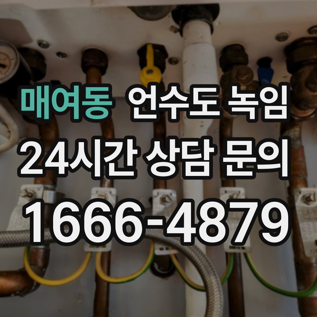 매여동 언수도 녹임