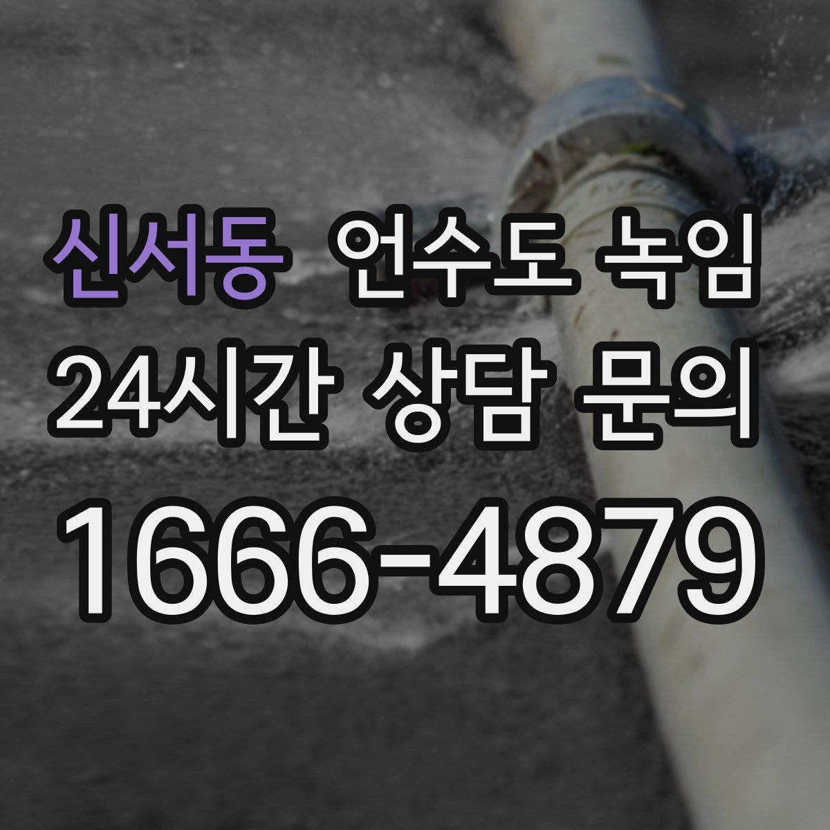 신서동 언수도 녹임