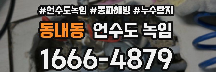 동내동 언수도 녹임