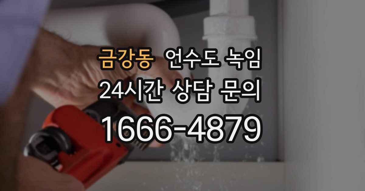 금강동 언수도 녹임