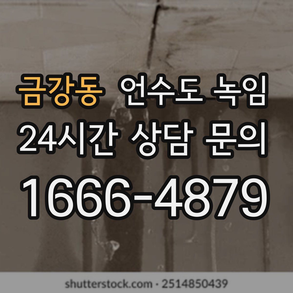 금강동 언수도 녹임