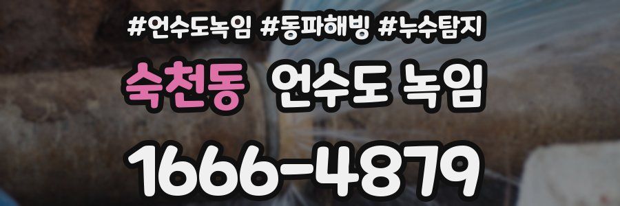 숙천동 언수도 녹임