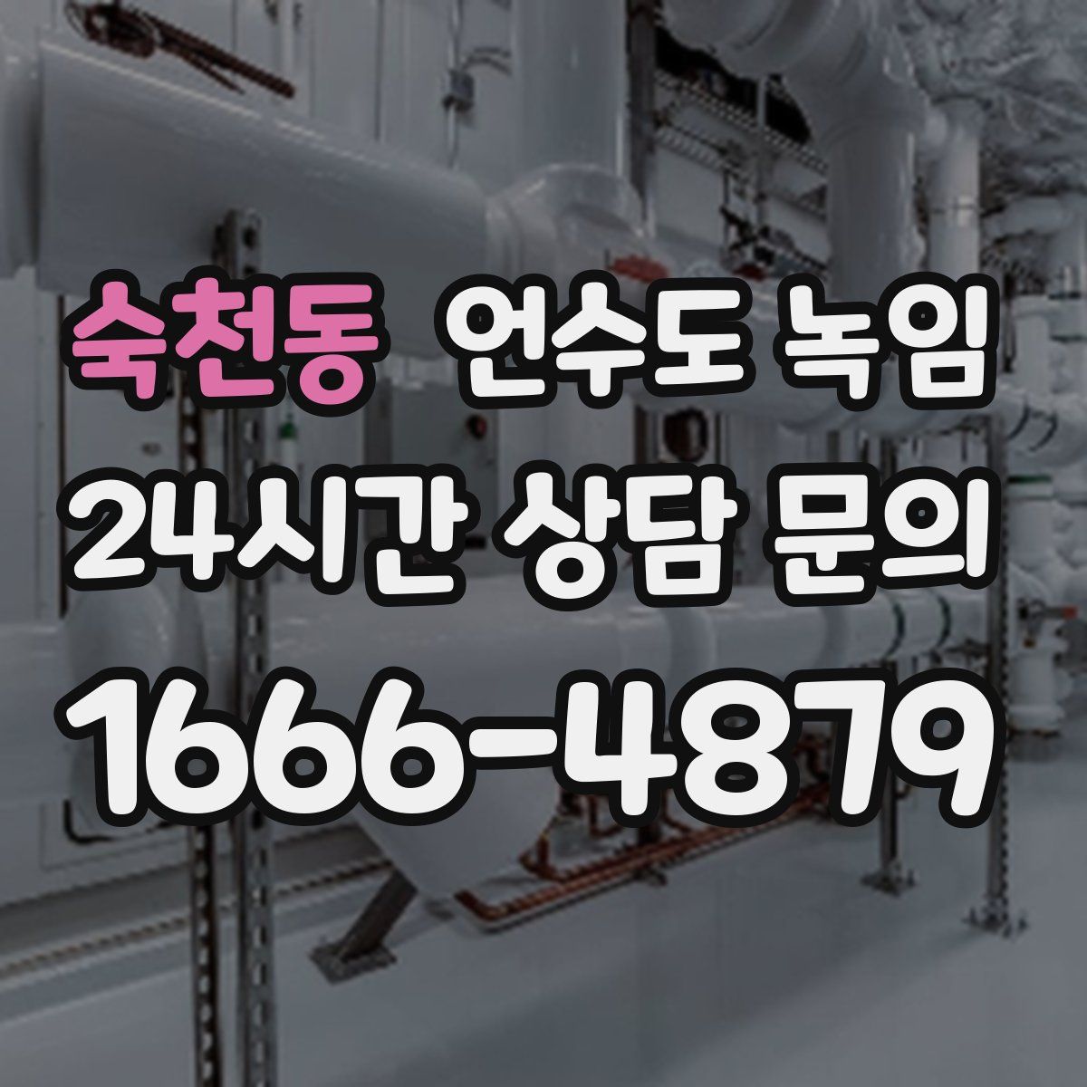 숙천동 언수도 녹임