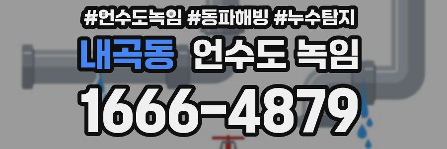 내곡동 언수도 녹임