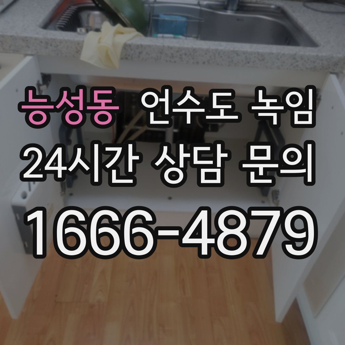 능성동 언수도 녹임