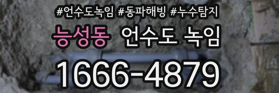 능성동 언수도 녹임