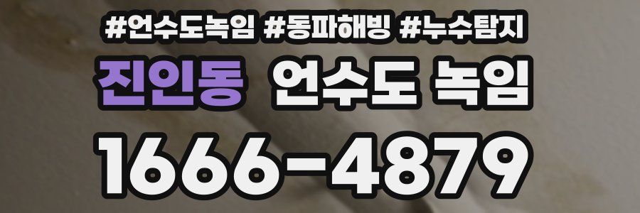 진인동 언수도 녹임