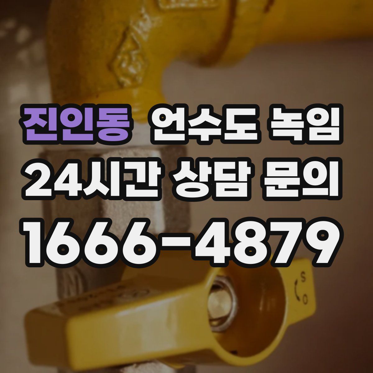 진인동 언수도 녹임