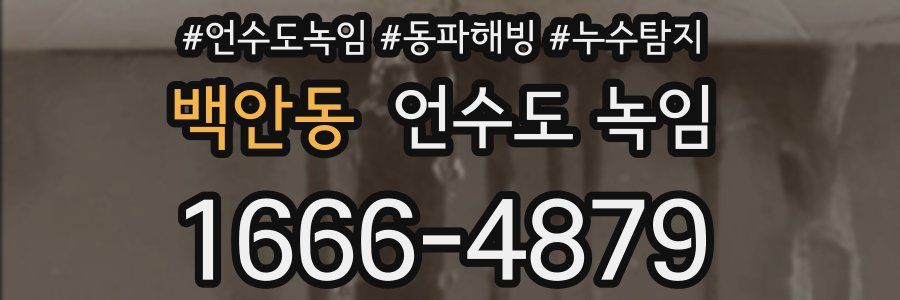 백안동 언수도 녹임