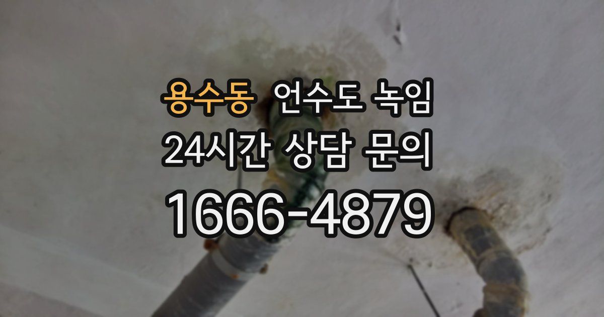 용수동 언수도 녹임