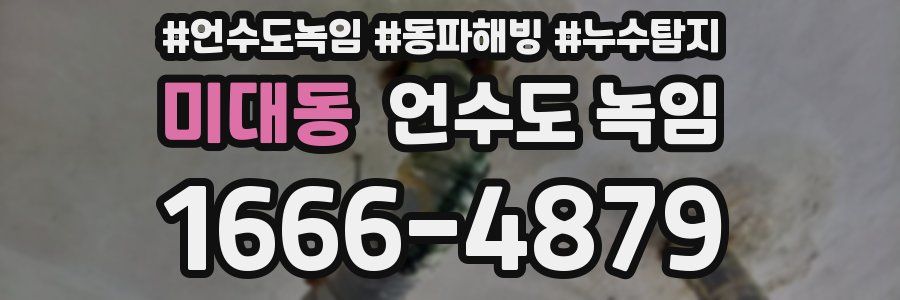 미대동 언수도 녹임