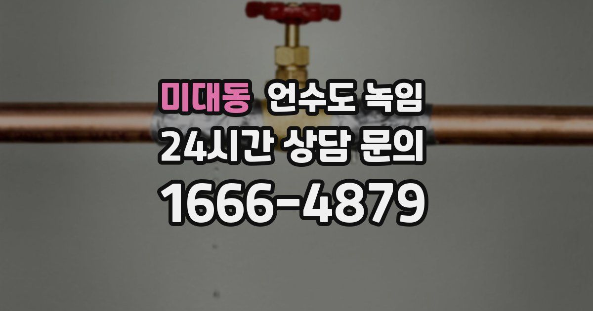 미대동 언수도 녹임