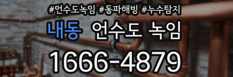 내동 언수도 녹임