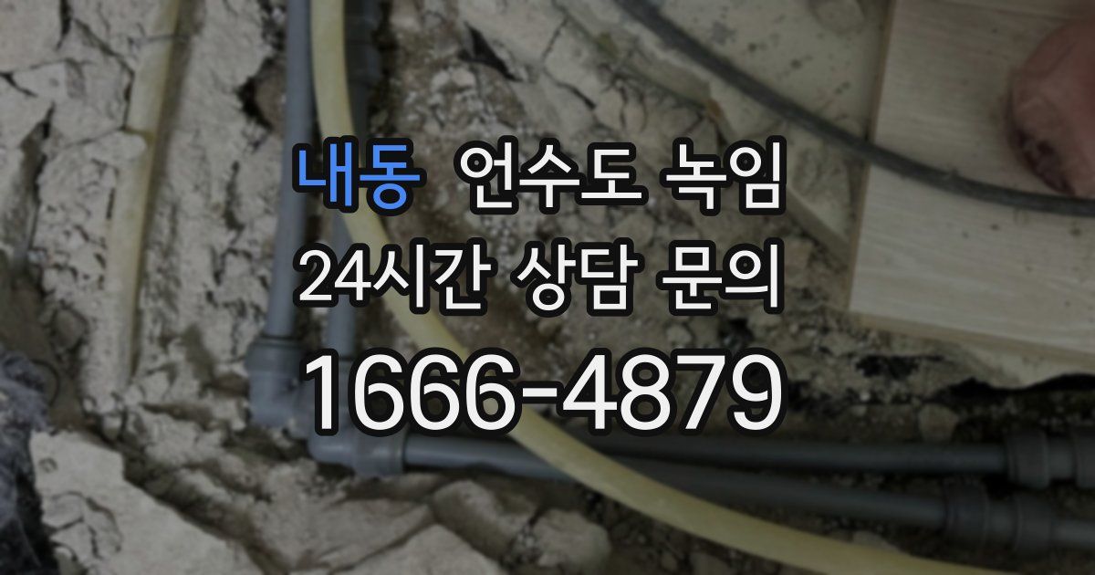 내동 언수도 녹임