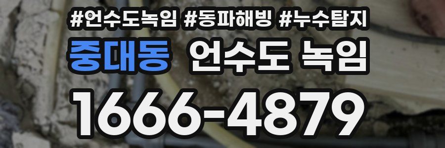 중대동 언수도 녹임