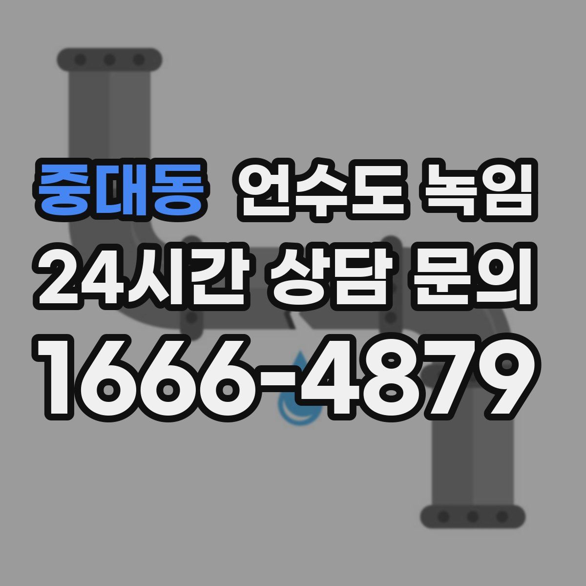 중대동 언수도 녹임