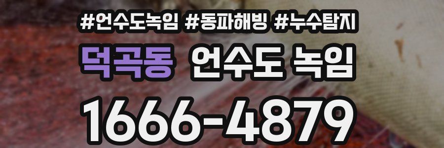 덕곡동 언수도 녹임