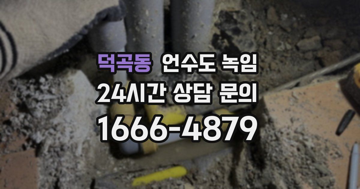 덕곡동 언수도 녹임