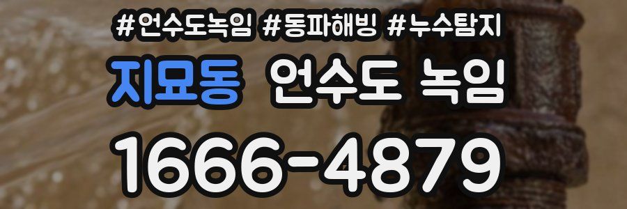 지묘동 언수도 녹임