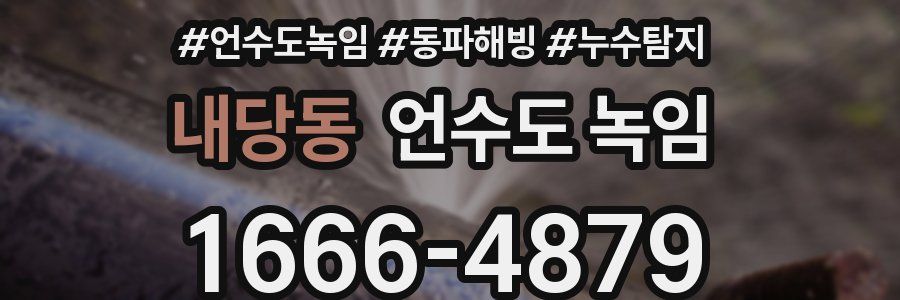 내당동 언수도 녹임