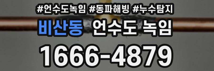 비산동 언수도 녹임