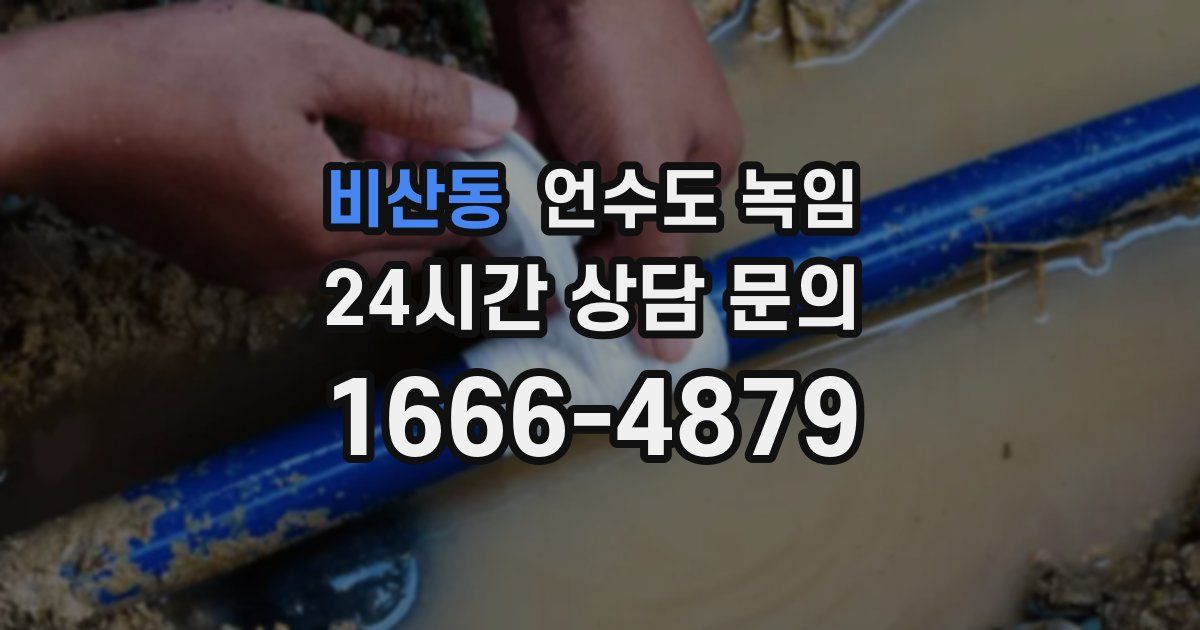 비산동 언수도 녹임