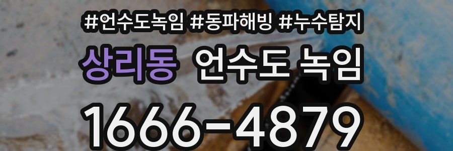 상리동 언수도 녹임