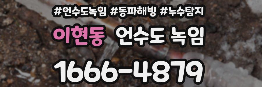 이현동 언수도 녹임