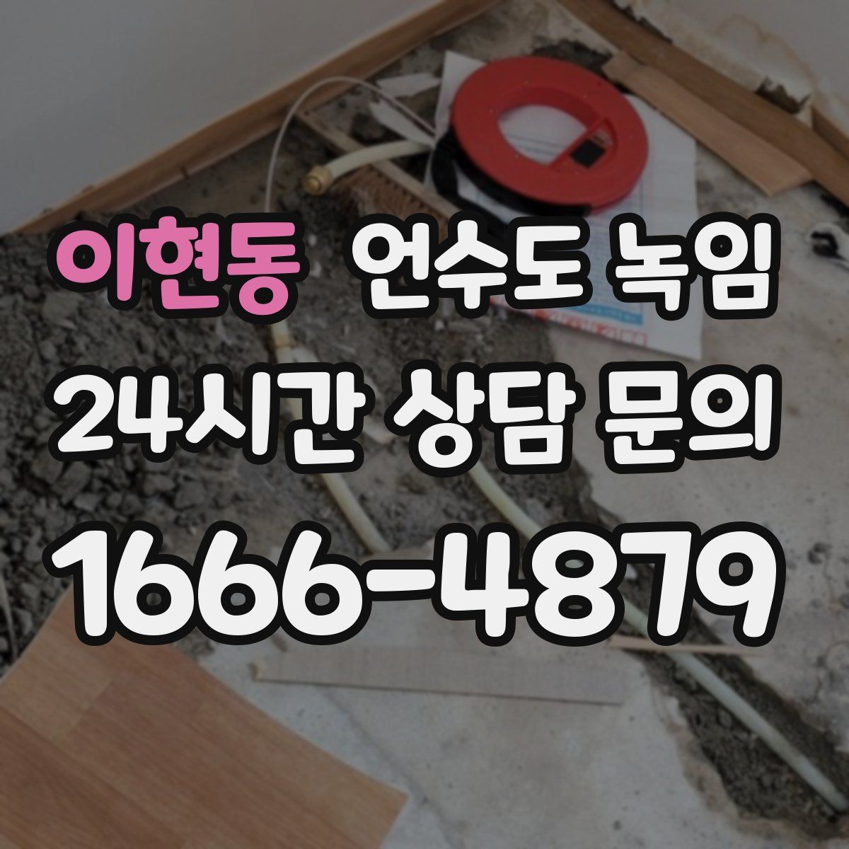 이현동 언수도 녹임