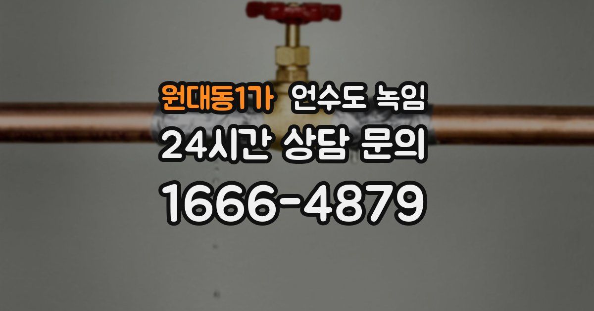 원대동1가 언수도 녹임