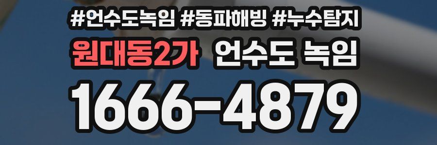 원대동2가 언수도 녹임