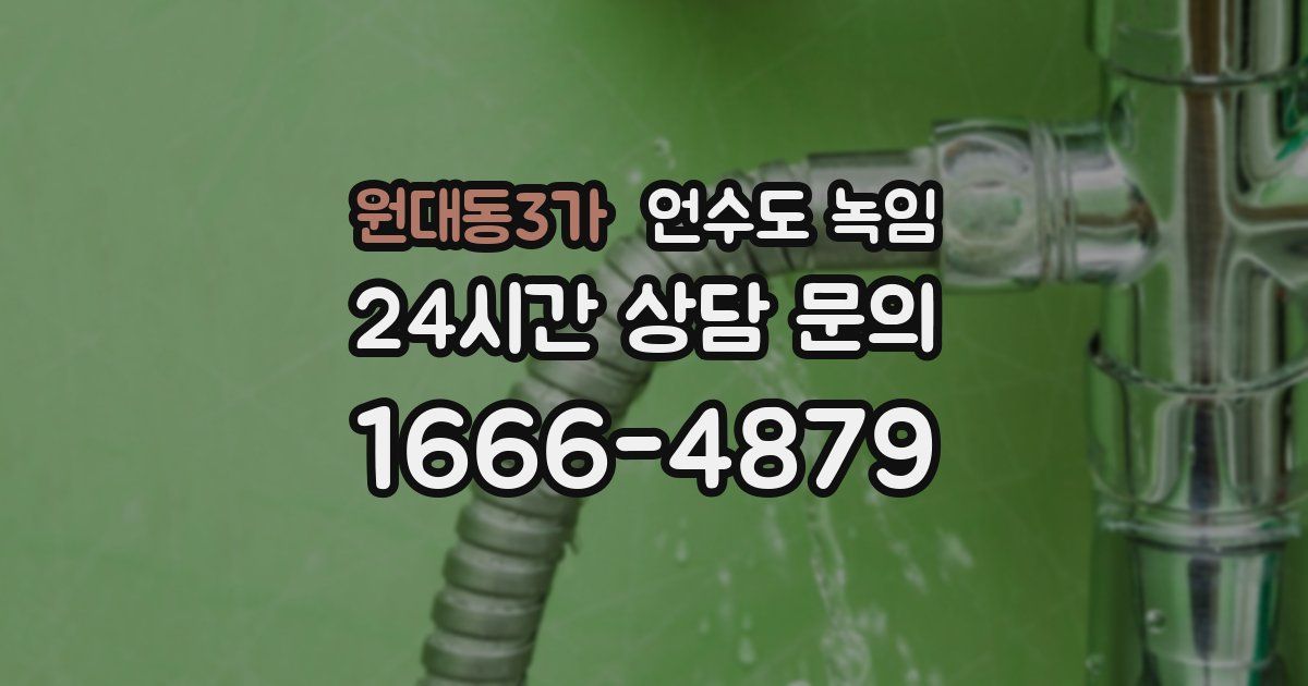 원대동3가 언수도 녹임