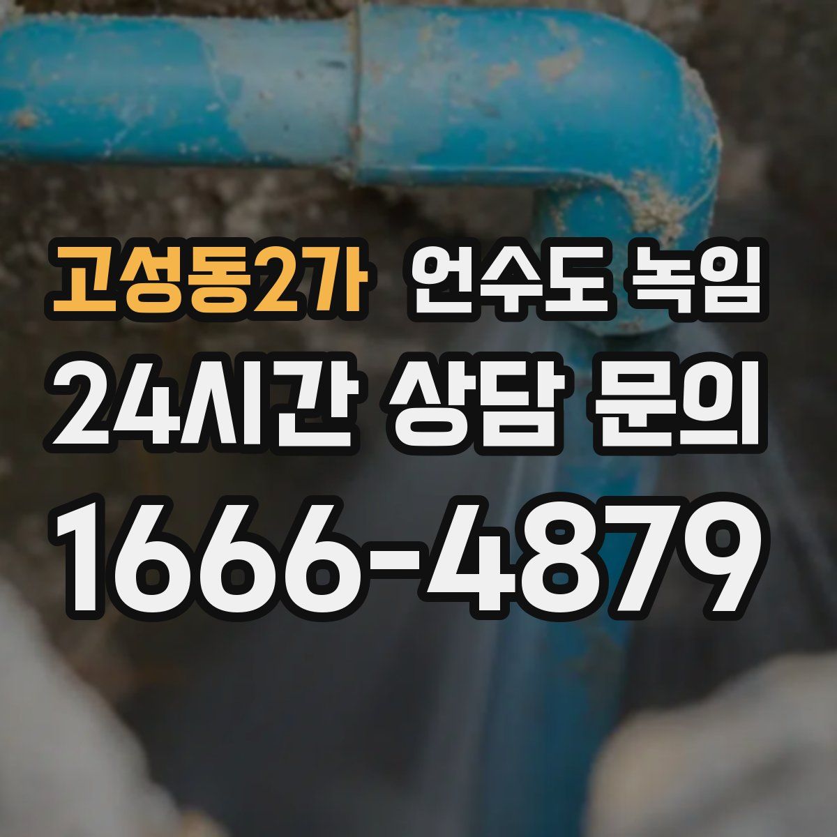 고성동2가 언수도 녹임