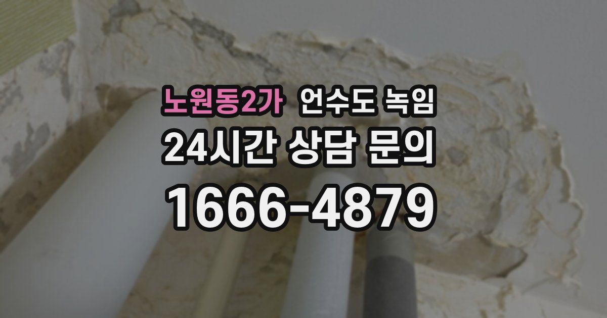 노원동2가 언수도 녹임