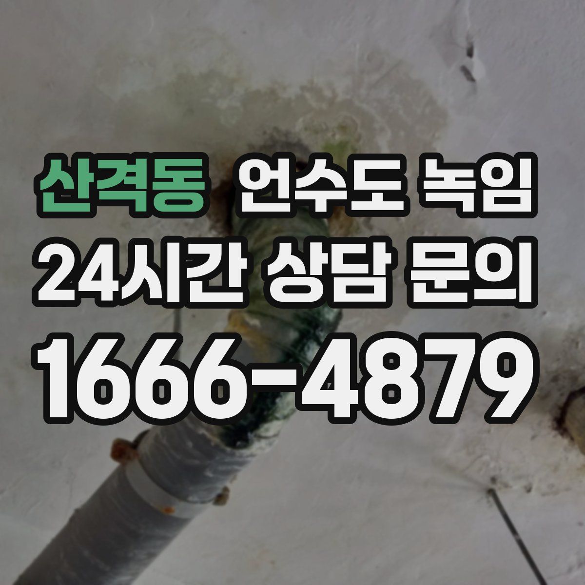 산격동 언수도 녹임