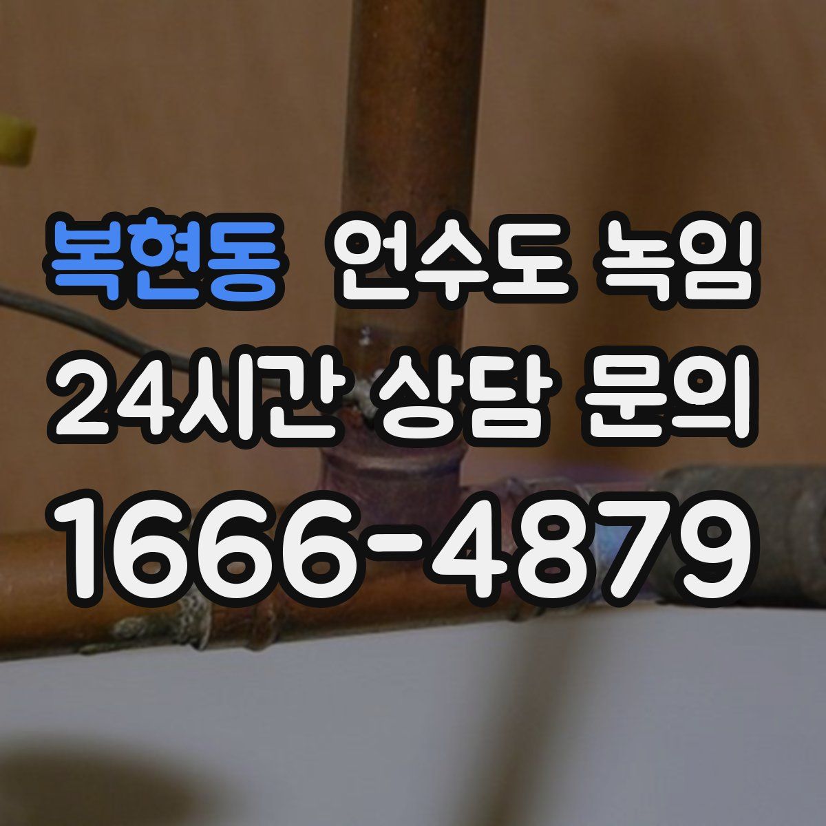 복현동 언수도 녹임