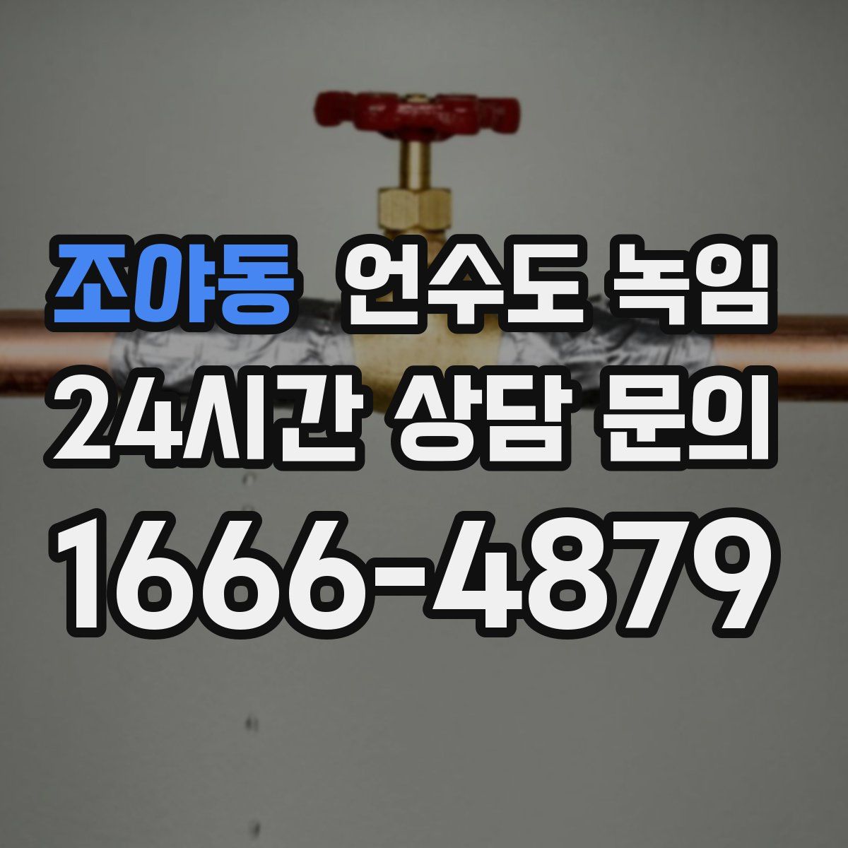 조야동 언수도 녹임