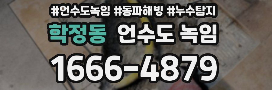 학정동 언수도 녹임