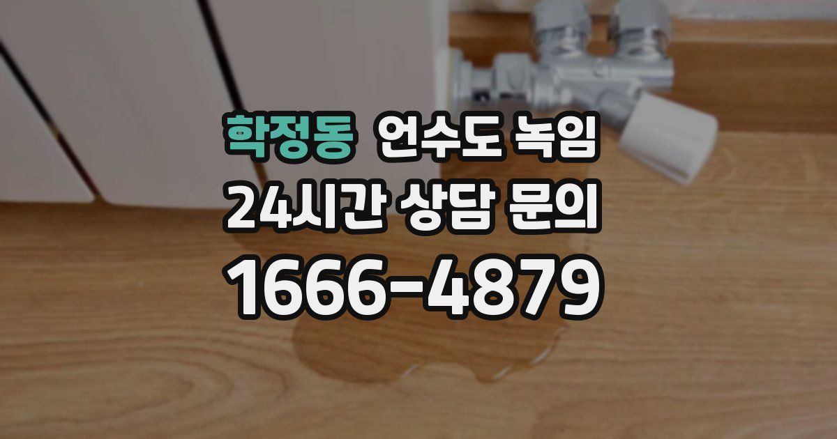 학정동 언수도 녹임