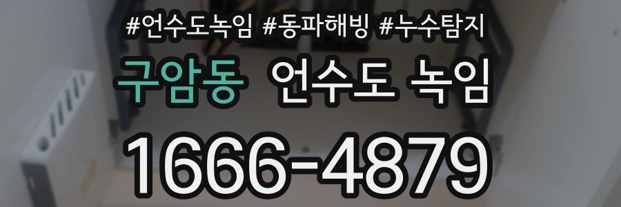 구암동 언수도 녹임