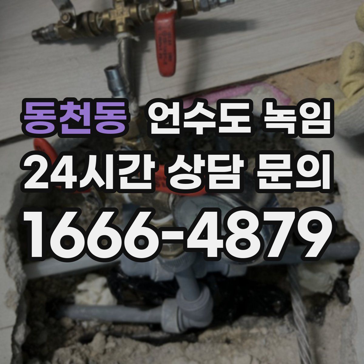 동천동 언수도 녹임