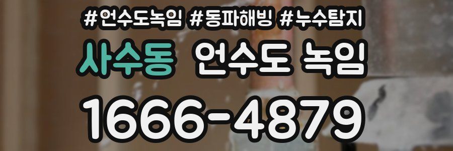 사수동 언수도 녹임